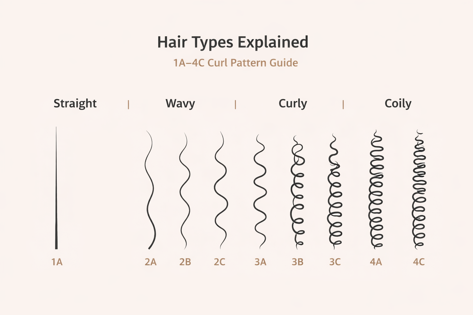 Hair types explained chart showing curl patterns from 1A straight hair through 4C tightly coiled hair.