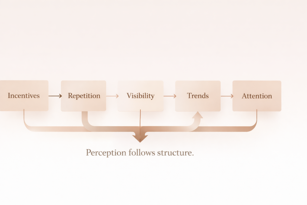 A structured system diagram showing how incentives, repetition, visibility, trends, and attention connect to shape perception
