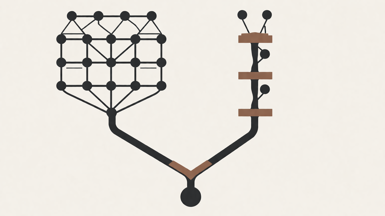 language systems control diagram showing expansion versus restriction pathways