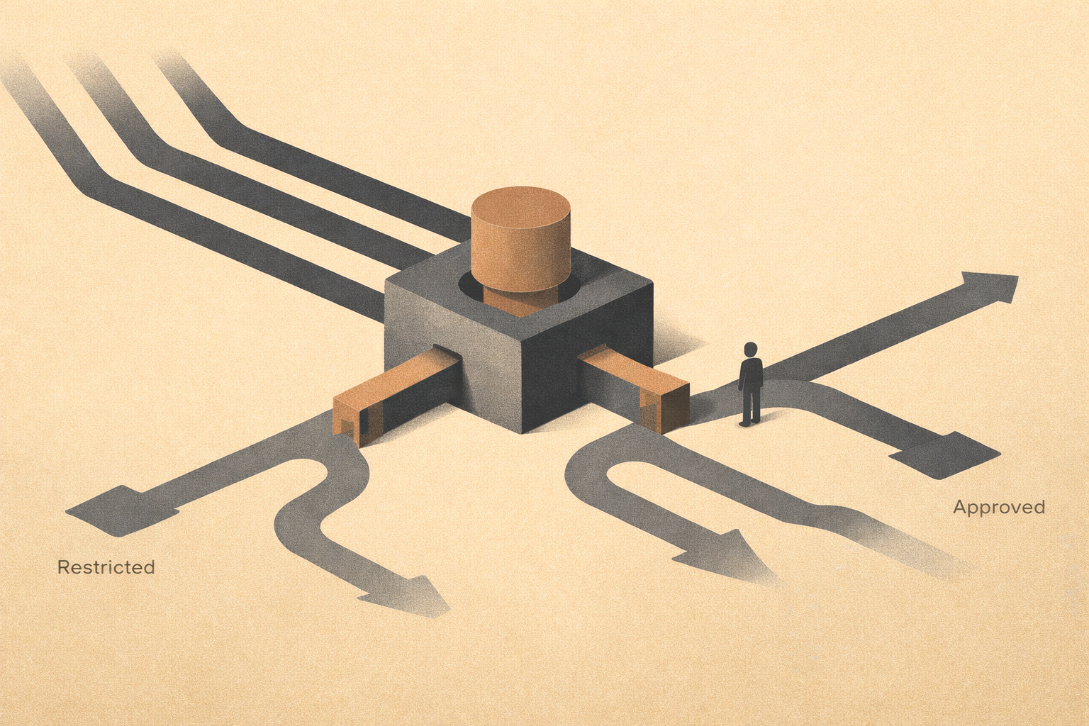 Credit Scoring Systems: When the Model Sets Your Limits